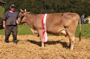 Miss OB Jorat JANA von Roland Brgler Ried Muotathal CH 120.1366.6202.5